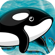 虎鲸回家冒险Orca Fish Home Adventure