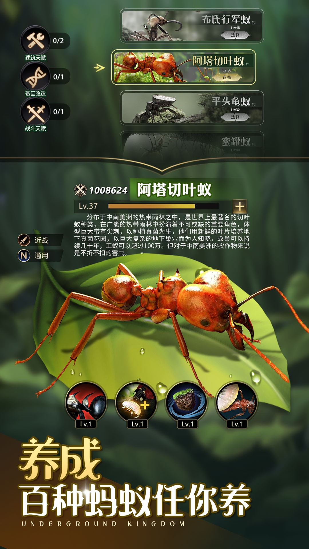 小小蚁国官方正版