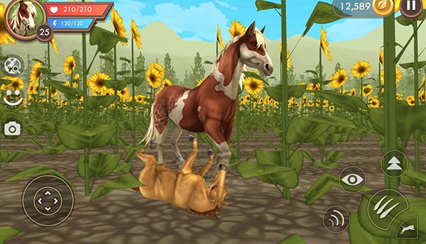 WildCraft