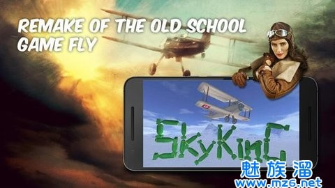 SkyKing