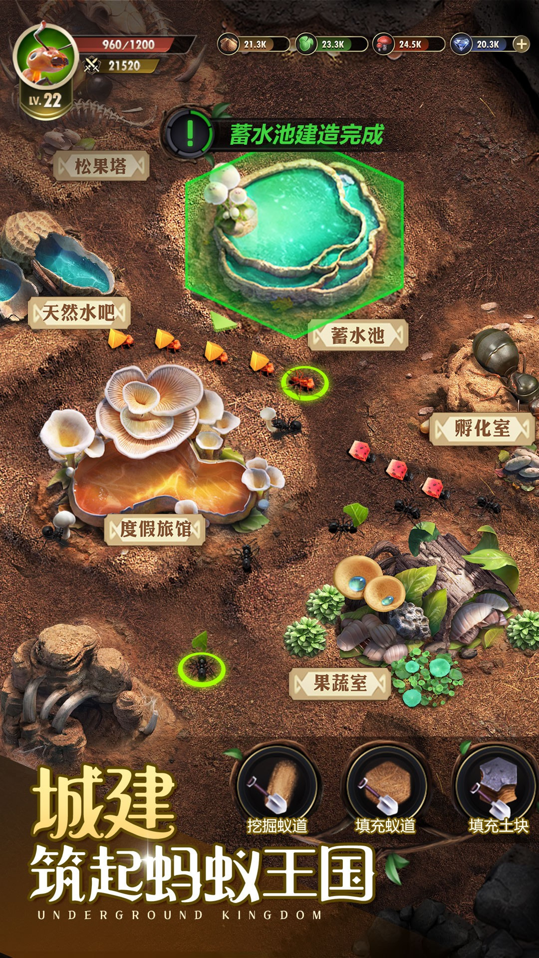 小小蚁国官方正版