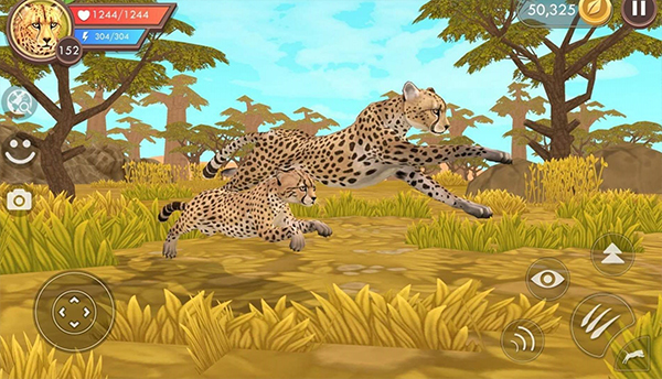 WildCraft