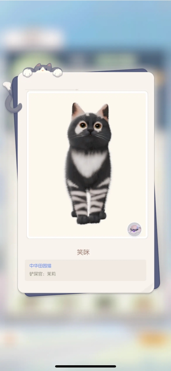 超喵星计划