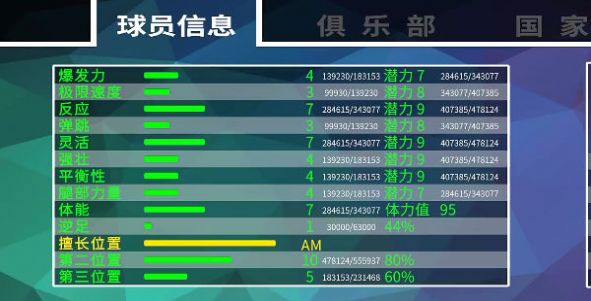 职业足球生涯