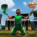 RVG世界板球比赛(RVG Cricket Lite)