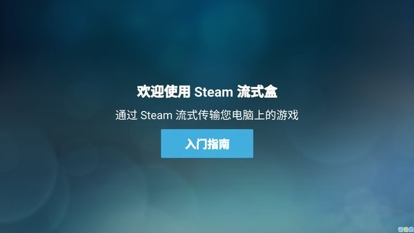 steamlink