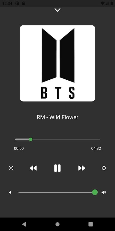 bts songz