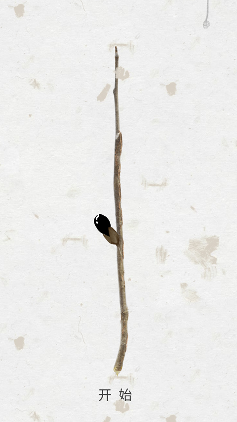 Song of Bloom