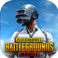pubg国际服2.5