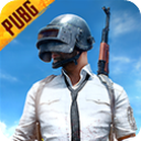 pubg国际版官方版手游