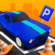 停车有序(Parking Order)