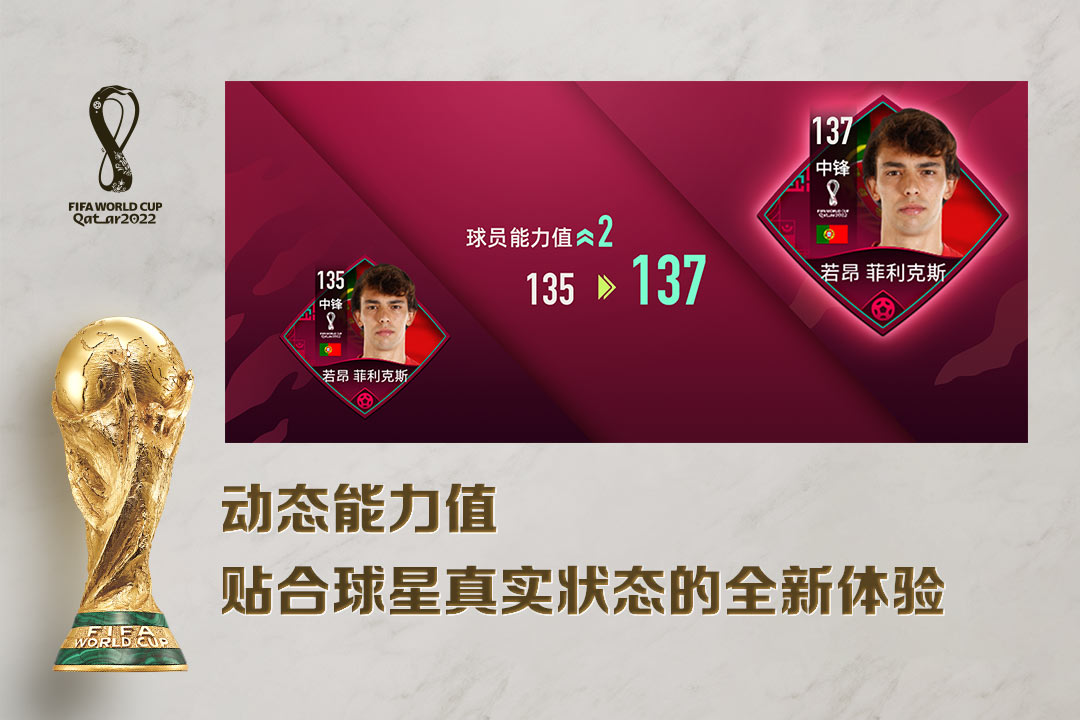 fifa足球世界国际服