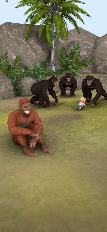 猿的进化（Ape Evolution）
