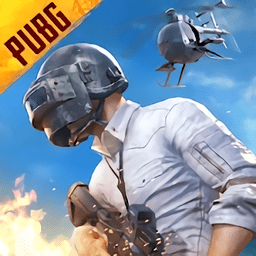 pubg国体