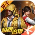 六庚鸡仙助手