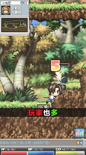 追忆彩虹岛