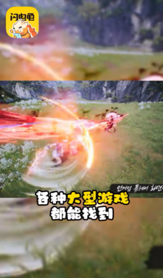 闪电龟