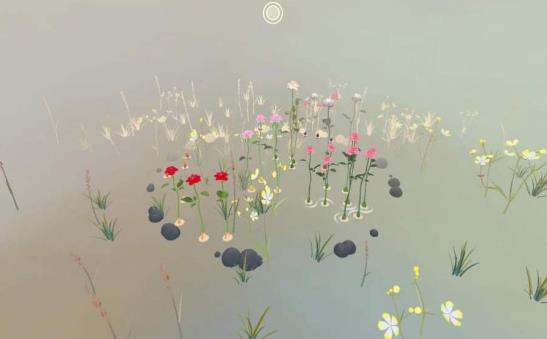 玫瑰花园