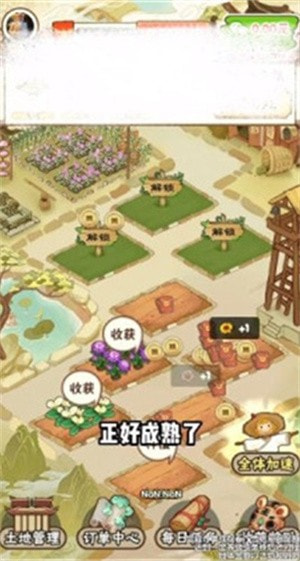 花都乐园