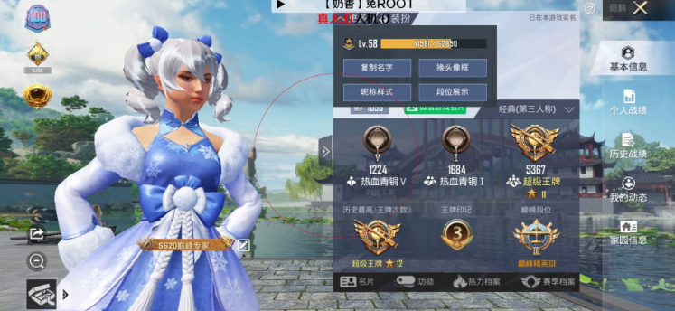 和平精英内部神兔