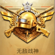 平板视角P