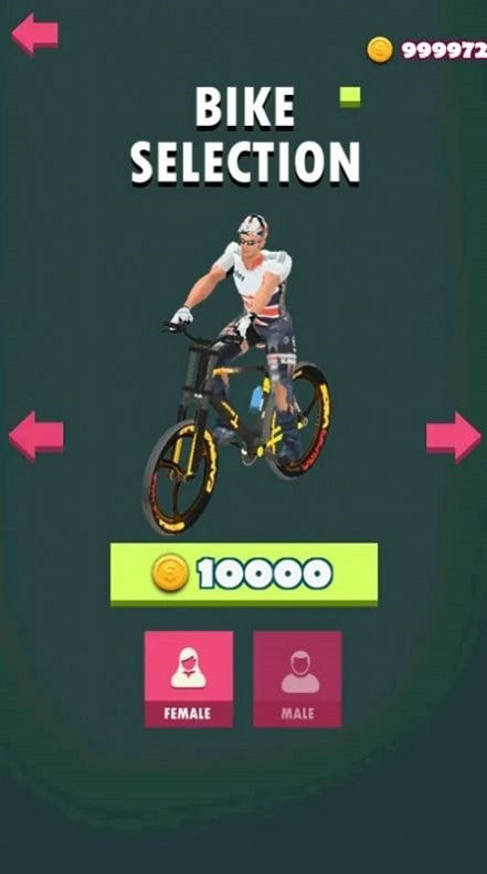 BMX疯狂旋转（BMX Flip Madness）