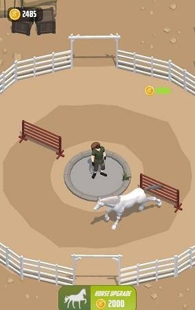 放置驯马Horse Rider