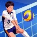 单挑排球(Volleyball Duel)