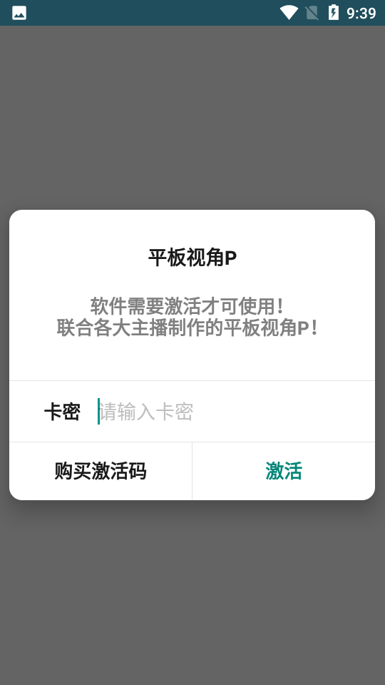 平板视角P
