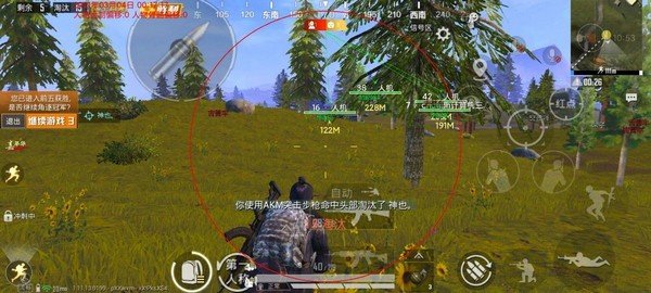 小黄鸡开挂神器
