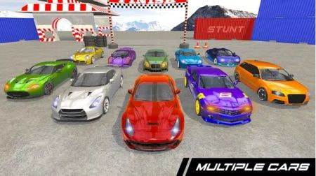 拉力赛车特技Rally Car Stunts