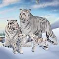 野生白虎家庭模拟Wild Tiger Simulator Family Sim