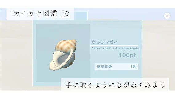 海之声