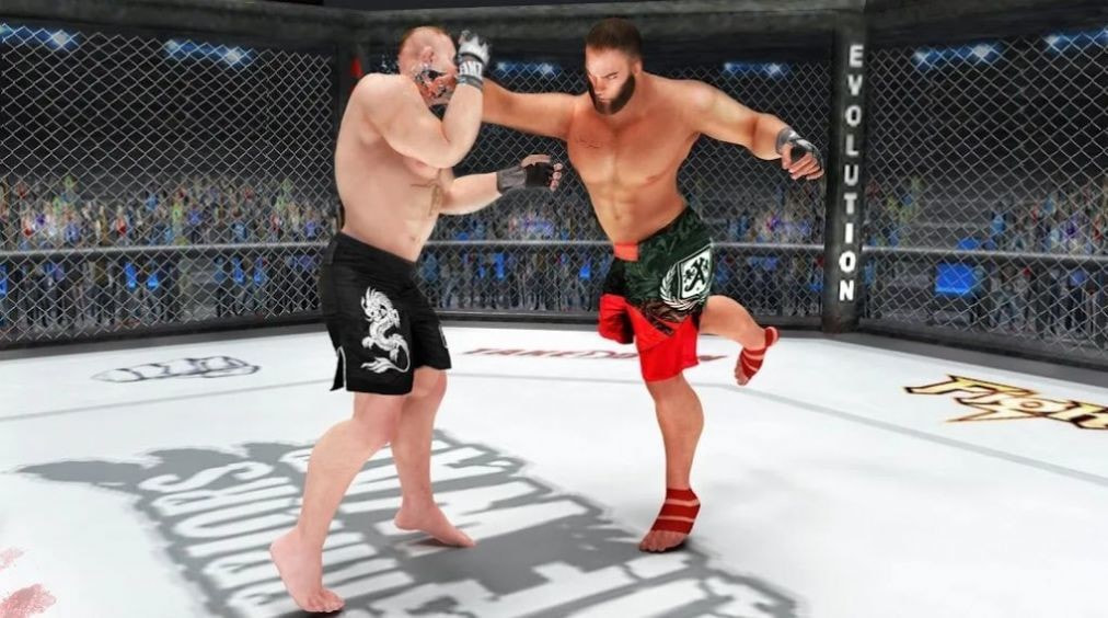 拳击格斗战术(Martial Arts Fighting Games)