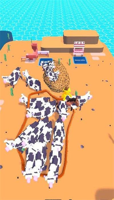 动物捕获Animal Catch