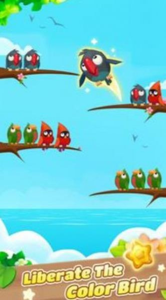 彩色鸟排序Color Bird Sort