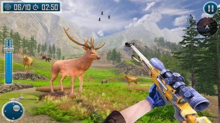 动物射击