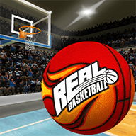 真实篮球3Dbasketball3D