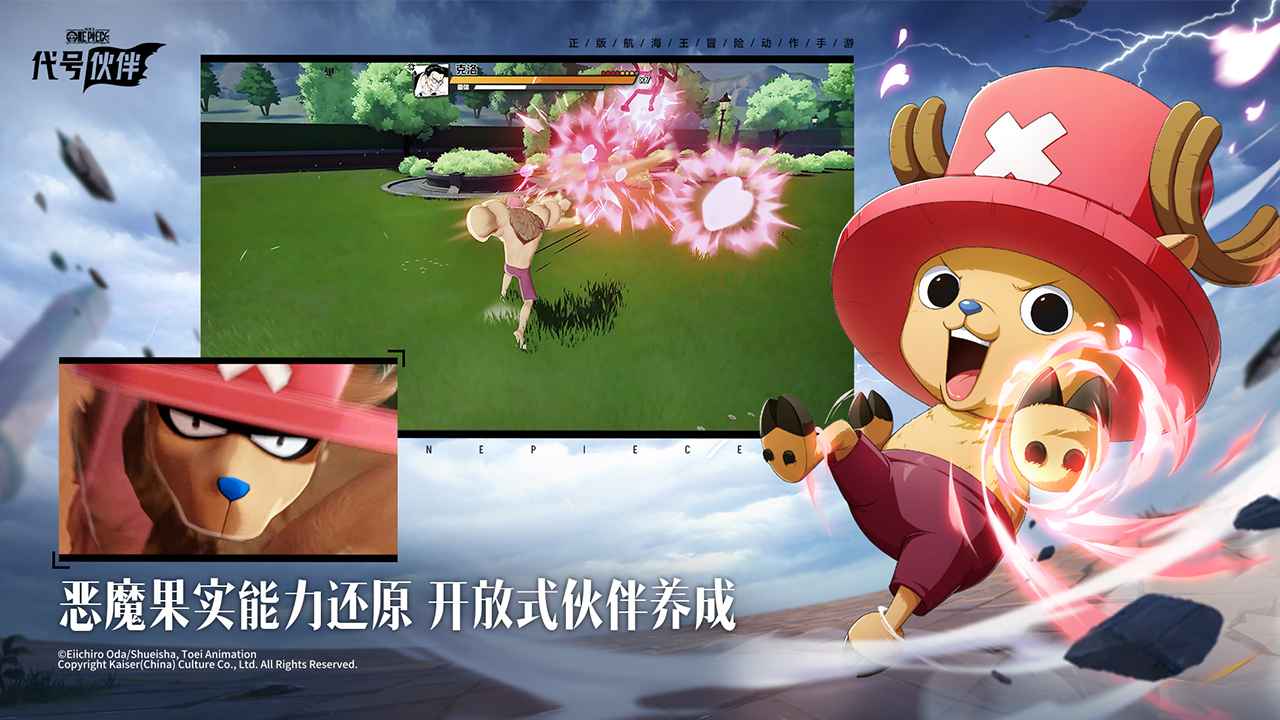 代号伙伴测试服