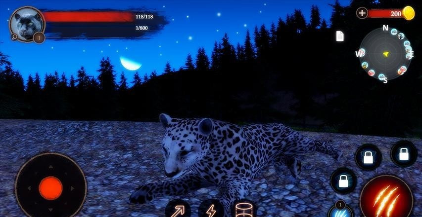 豹模拟(The Leopard)
