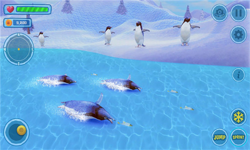 企鹅模拟器家庭生活(Penguin Simulator Family Life)
