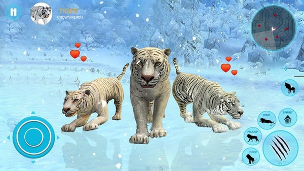野生白虎家庭模拟Wild Tiger Simulator Family Sim
