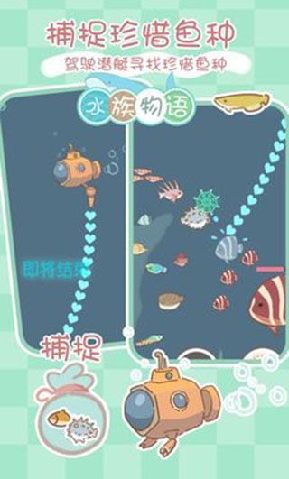 水族物语