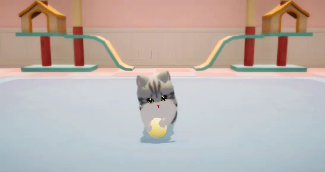 养了个猫999999金币