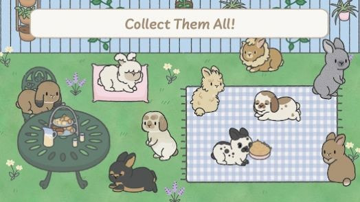 兔兔天堂（Bunny Haven）