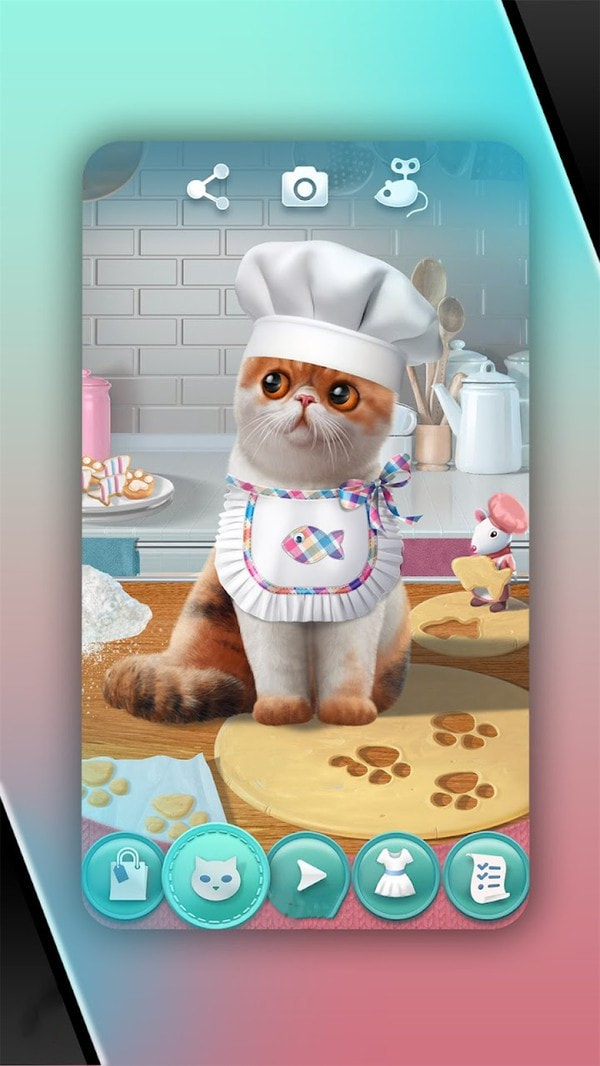 猫咪很可爱