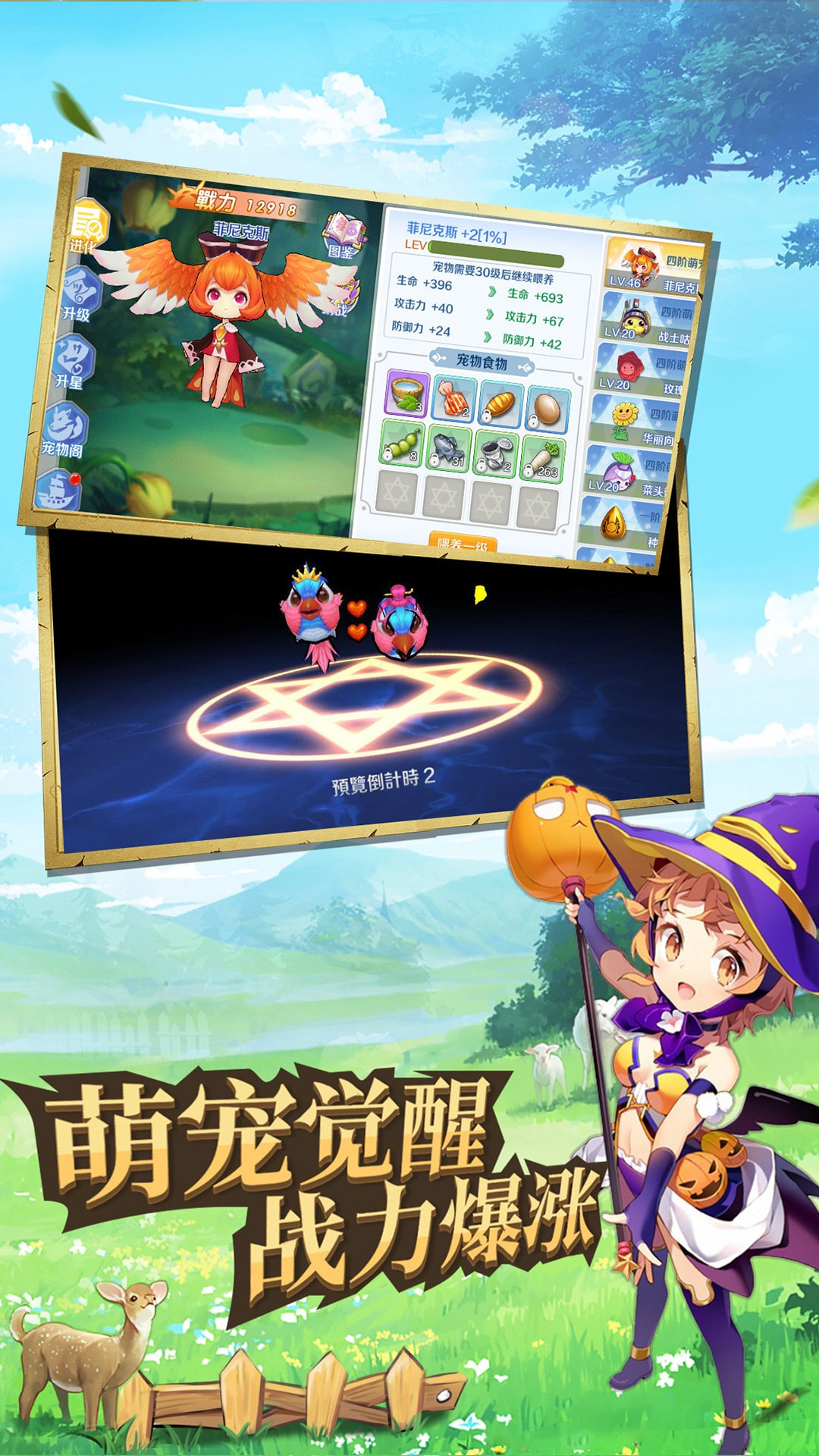 驭龙骑士团