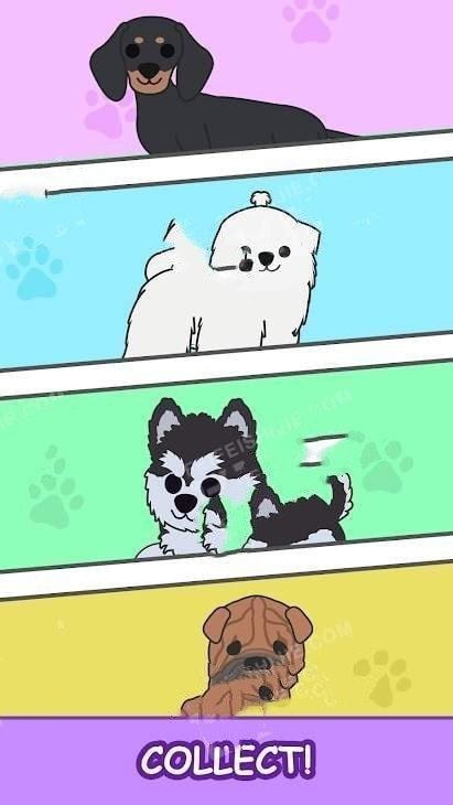 合并幼犬Merge Puppies
