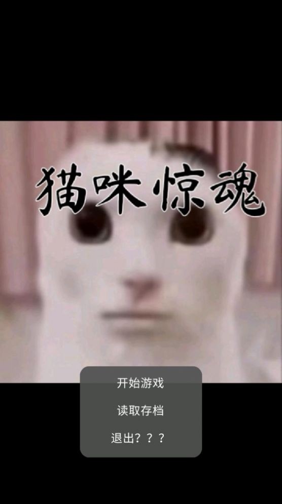 猫猫惊魂手机版图3
