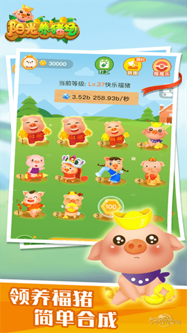 阳光养猪厂